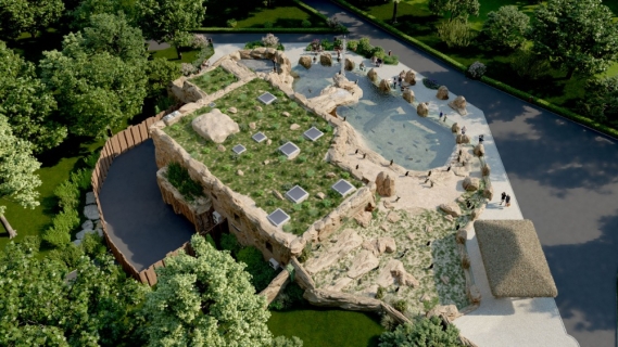 Tučňáci, za dva roky v Ostravě!