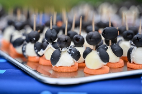 Tučňáci, za dva roky v Ostravě!