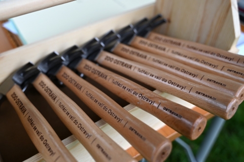 Tučňáci, za dva roky v Ostravě!