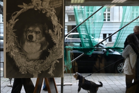 Galerie Díra: Michal Kalhous