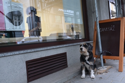 Galerie Díra: Michal Kalhous