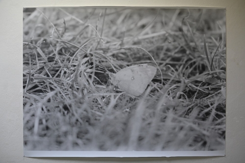 Galerie Díra: Michal Kalhous