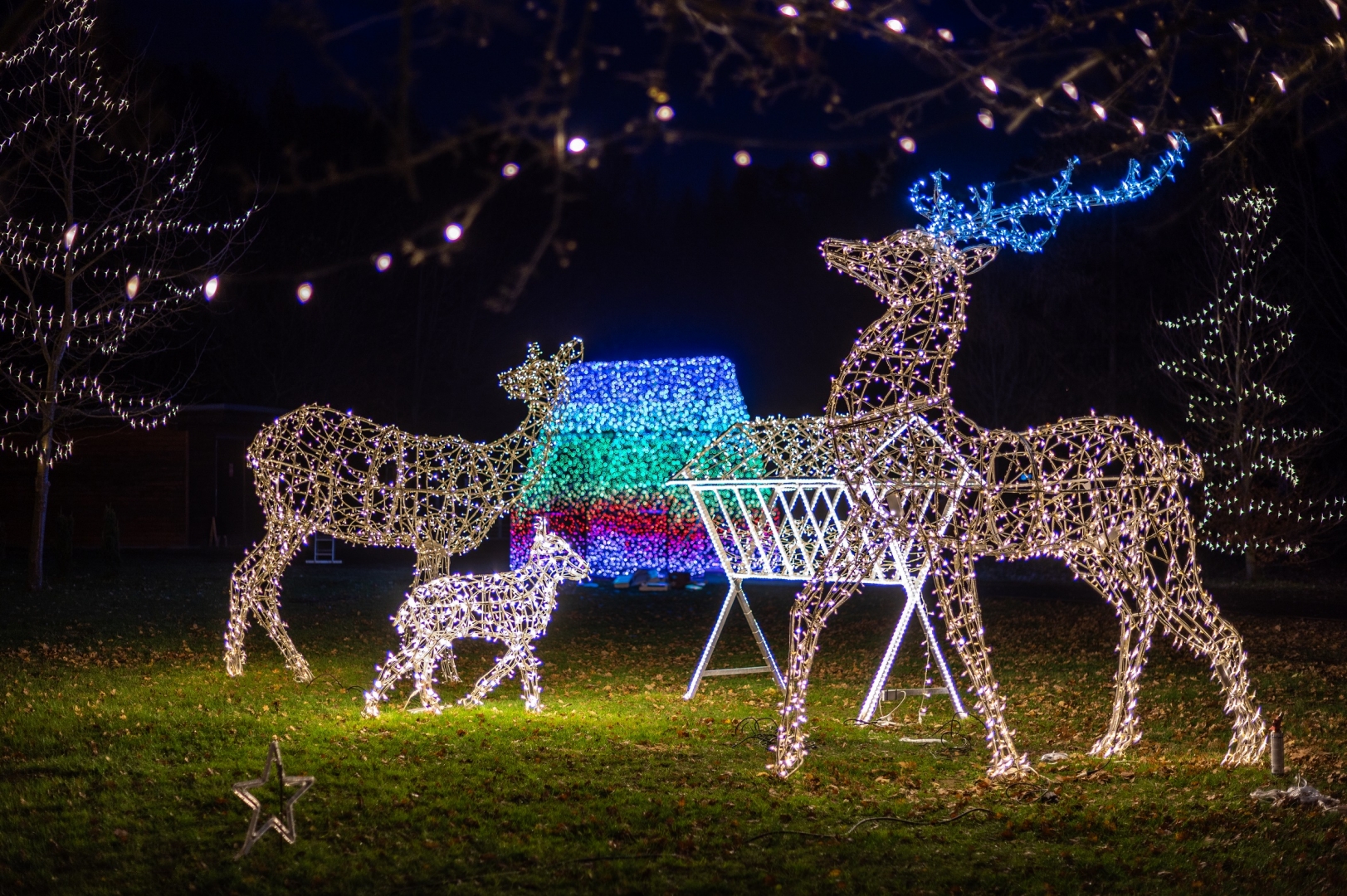 Vánoce na Jihu začínají 1. prosince