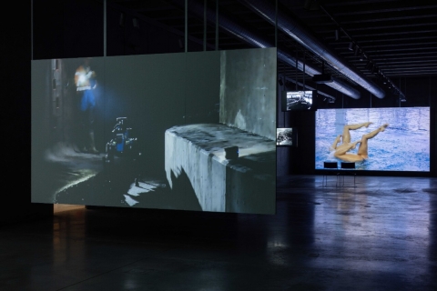 PLATO otevírá mezinárodní cyklus výstav