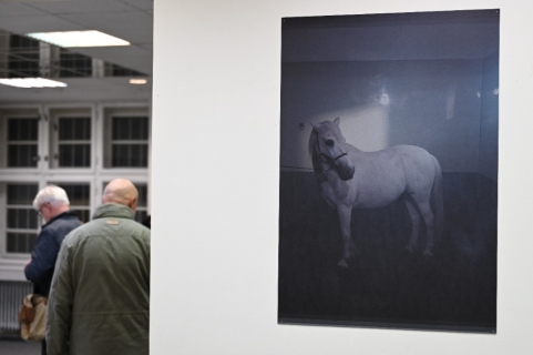 Fotograf od Bezručů vystavuje v Galerii Díra