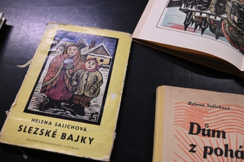 Galerie Gong: Helena Salichová