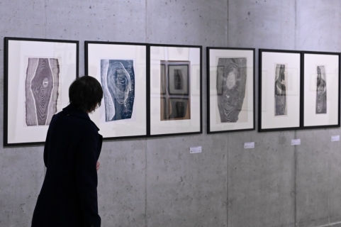 Galerie Gong: Helena Salichová