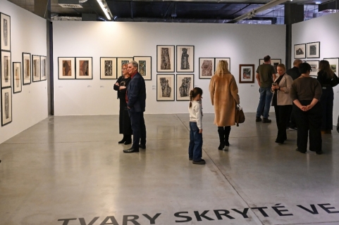 Galerie Gong: Helena Salichová