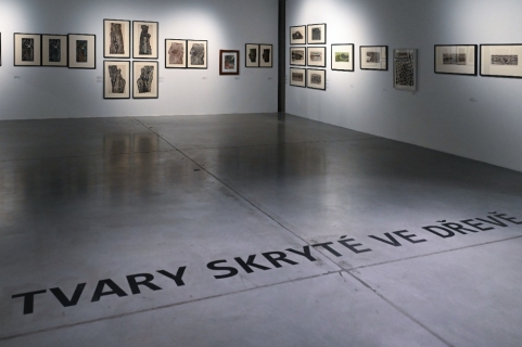 Galerie Gong: Helena Salichová