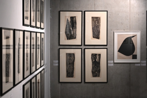 Galerie Gong: Helena Salichová