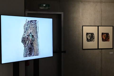 Galerie Gong: Helena Salichová