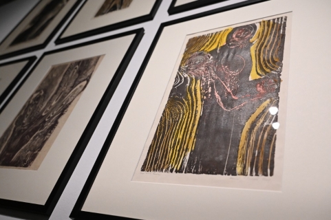 Galerie Gong: Helena Salichová