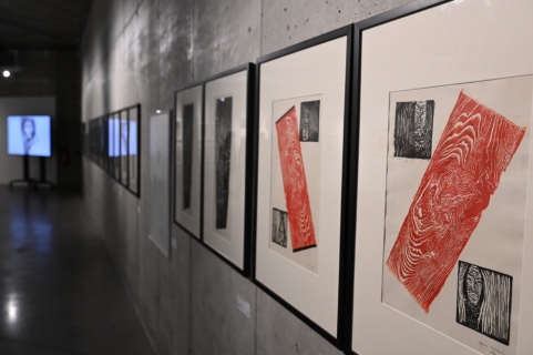 Galerie Gong: Helena Salichová