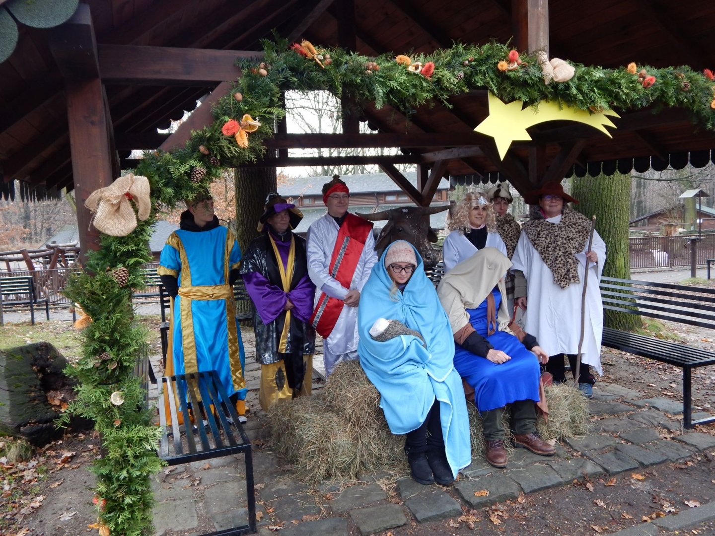 Advent a Koledování v Zoo Ostrava