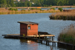 Heřmanický rybník. Ptačí ráj i rybářské budky