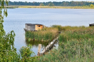 Heřmanický rybník. Ptačí ráj i rybářské budky