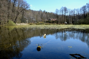 rybník u Binarovy ulice
