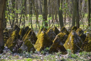 protitankové překážky u pěchotního srubu Obora