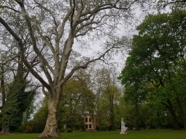 třebovický park