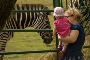 Zoo Košice