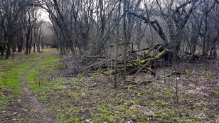 Stezka na Hladový vrch