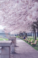 Park J. Komeńskiego, Ostrawa