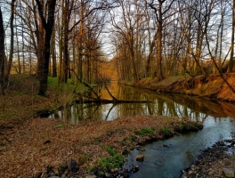 Spacer po obszarze Poodří w Ostrawie